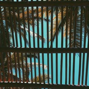 Meet your Posher, Layne